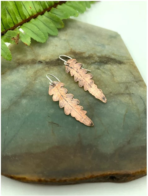 Small Copper Ferns 1